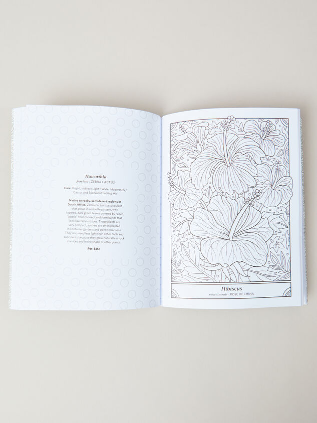 The Happy Houseplant Coloring Book Detail 2 - AS REVIVAL
