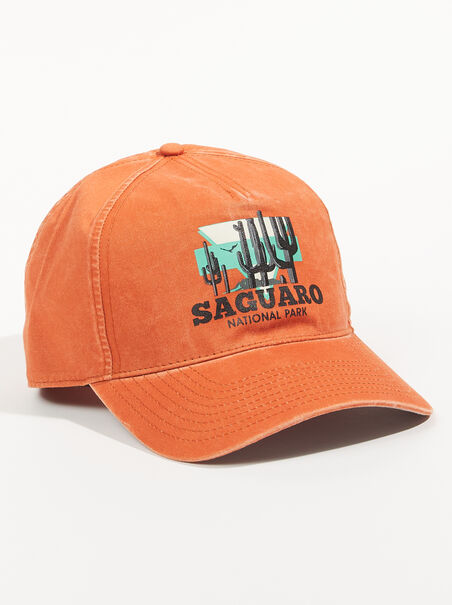 Saguaro National Park Hat - AS REVIVAL