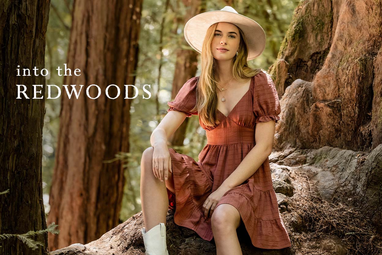 Into The Redwoods - AS REVIVAL